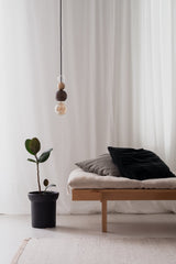 Quu Single L GlassWalnut